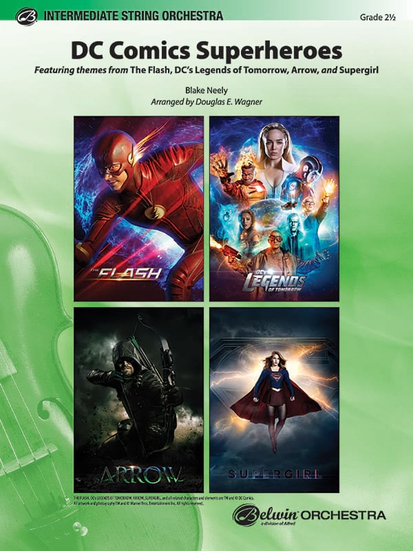DC Comics Superheroes Partition