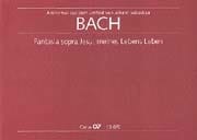 Fantasia sopra Jesu, meines Lebens Leben - Oboe Melodieinstr. Orgel - 