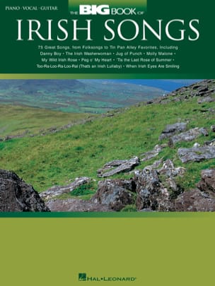 The Big Book Of Irish Songs Partition Musique du monde