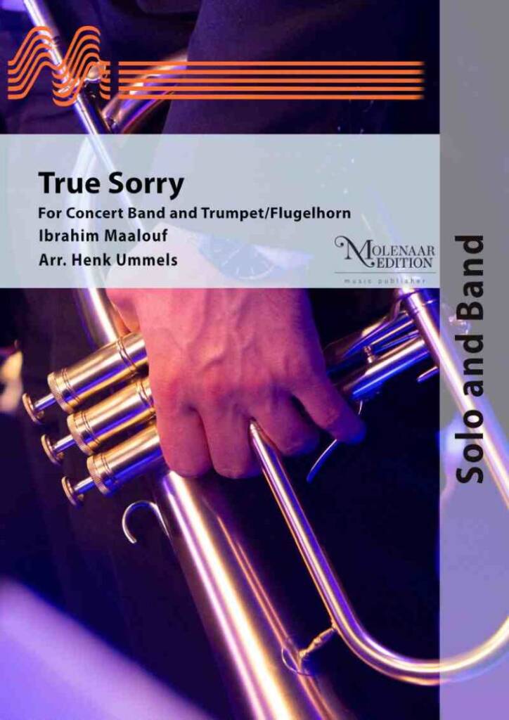 True Sorry Ibrahim Maalouf Partition