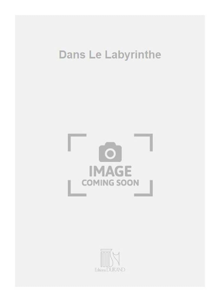 Dans le labyrinthe - conducteur Sylvain Kassap Partition Saxophone