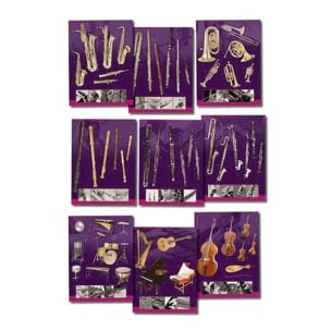 SERIE DE 9 POSTERS CONNAISSANCE DES INSTRUMENTS Poster Livre Pédagogie