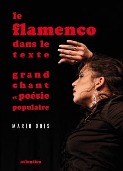 Le flamenco dans le texte Mario BOIS Livre Les Pays