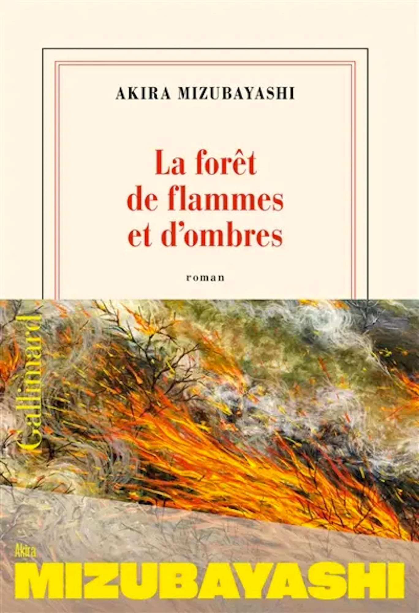 La forêt de flammes et d'ombres Mizubayashi Akira Livre Les Arts