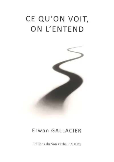 Ce qu'on voit, on l'entend Gallacier Erwan Livre Les Sciences