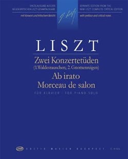 2 Etudes de concert / Ab Irato / Morceau de salon - LISZT - Partition
